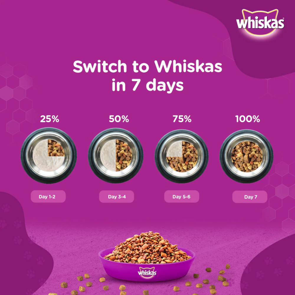 Whiskas Ocean Fish and Tuna in Jelly Kitten Dry and Wet Food Combo - Image 9
