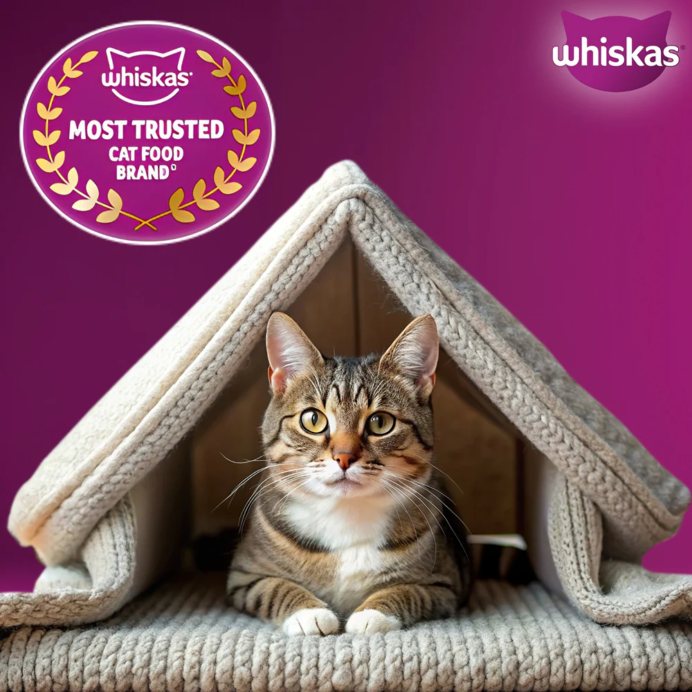 Whiskas Ocean Fish Flavour Adult Cat Dry Food - Image 11