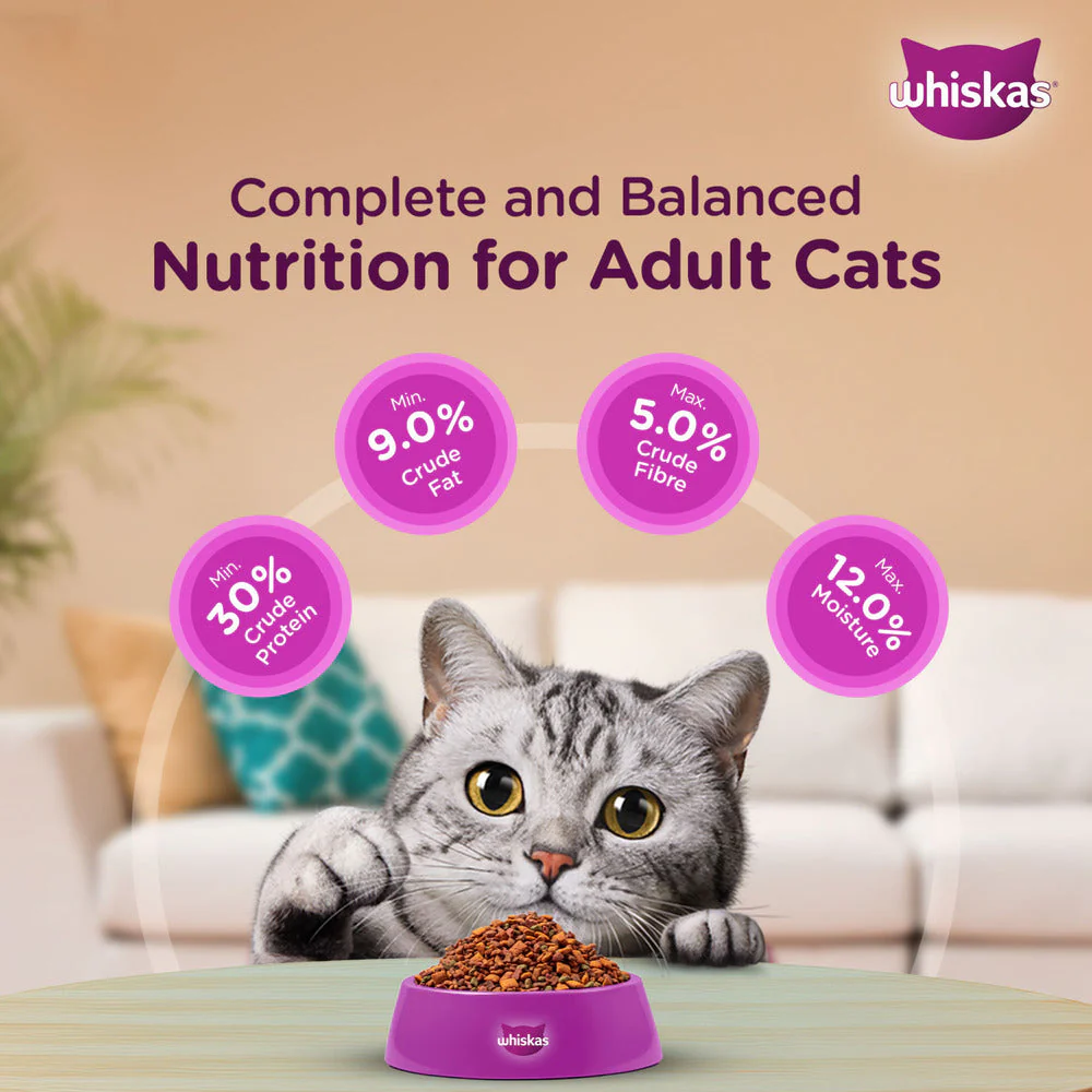 Whiskas Ocean Fish Flavour Adult Cat Dry Food - Image 8
