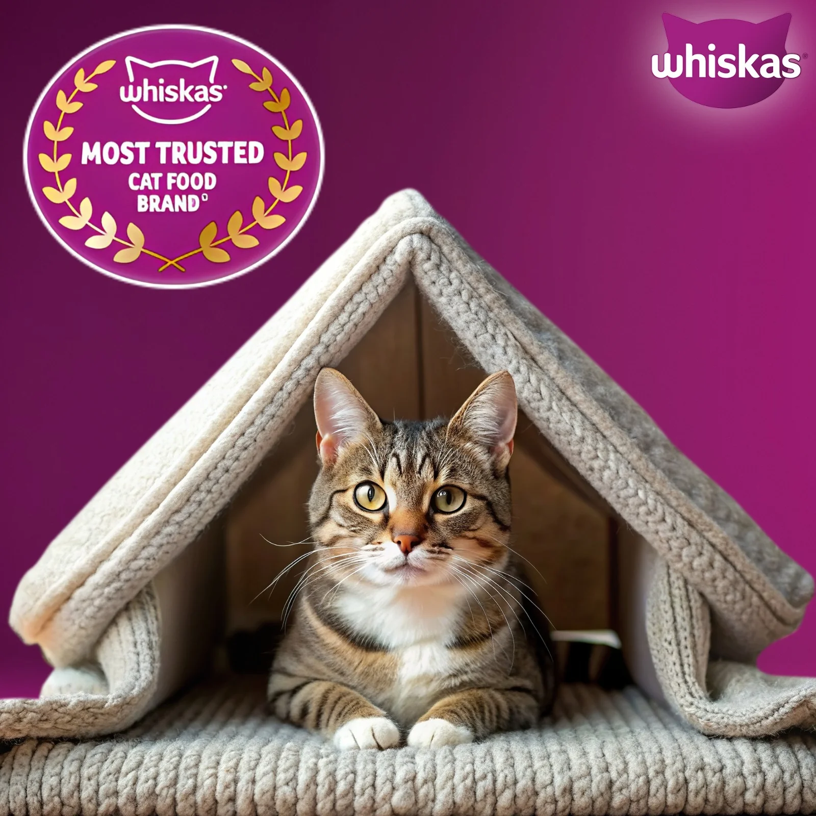 Whiskas Ocean Fish Flavour Adult Cat Dry Food - Image 14