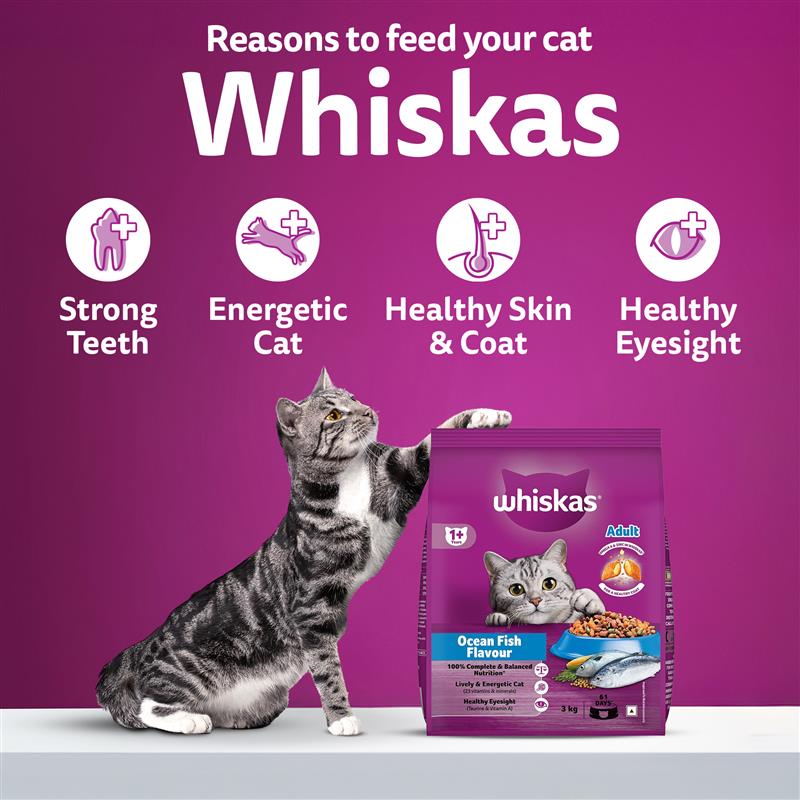 Whiskas Ocean Fish Flavour Adult Cat Dry Food - Image 10