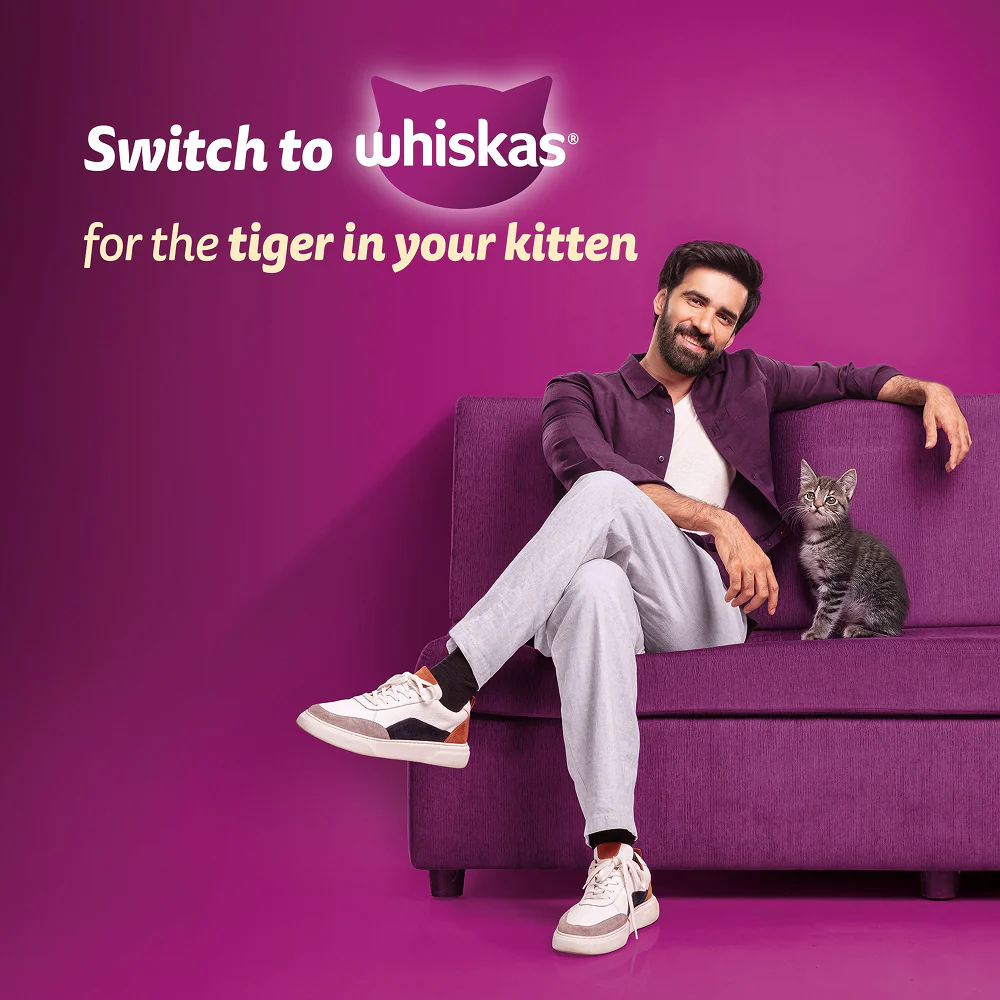 Whiskas Ocean Fish Kitten/Mother and Baby Cat Dry Food - Image 10