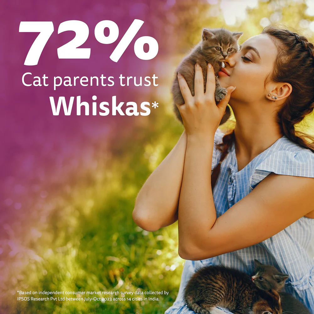 Whiskas Ocean Fish Kitten/Mother and Baby Cat Dry Food - Image 11