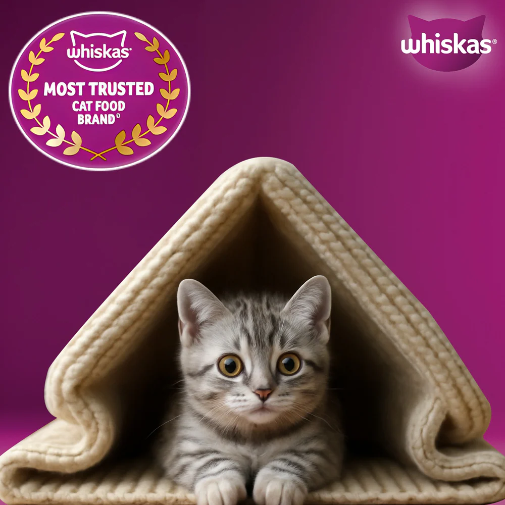Whiskas Ocean Fish Kitten/Mother and Baby Cat Dry Food - Image 9