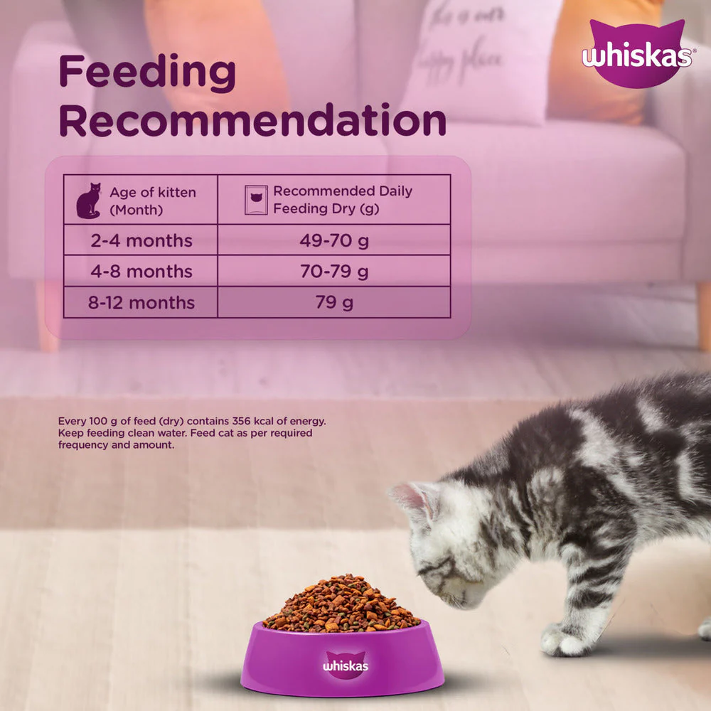 Whiskas Ocean Fish Kitten/Mother and Baby Cat Dry Food - Image 5