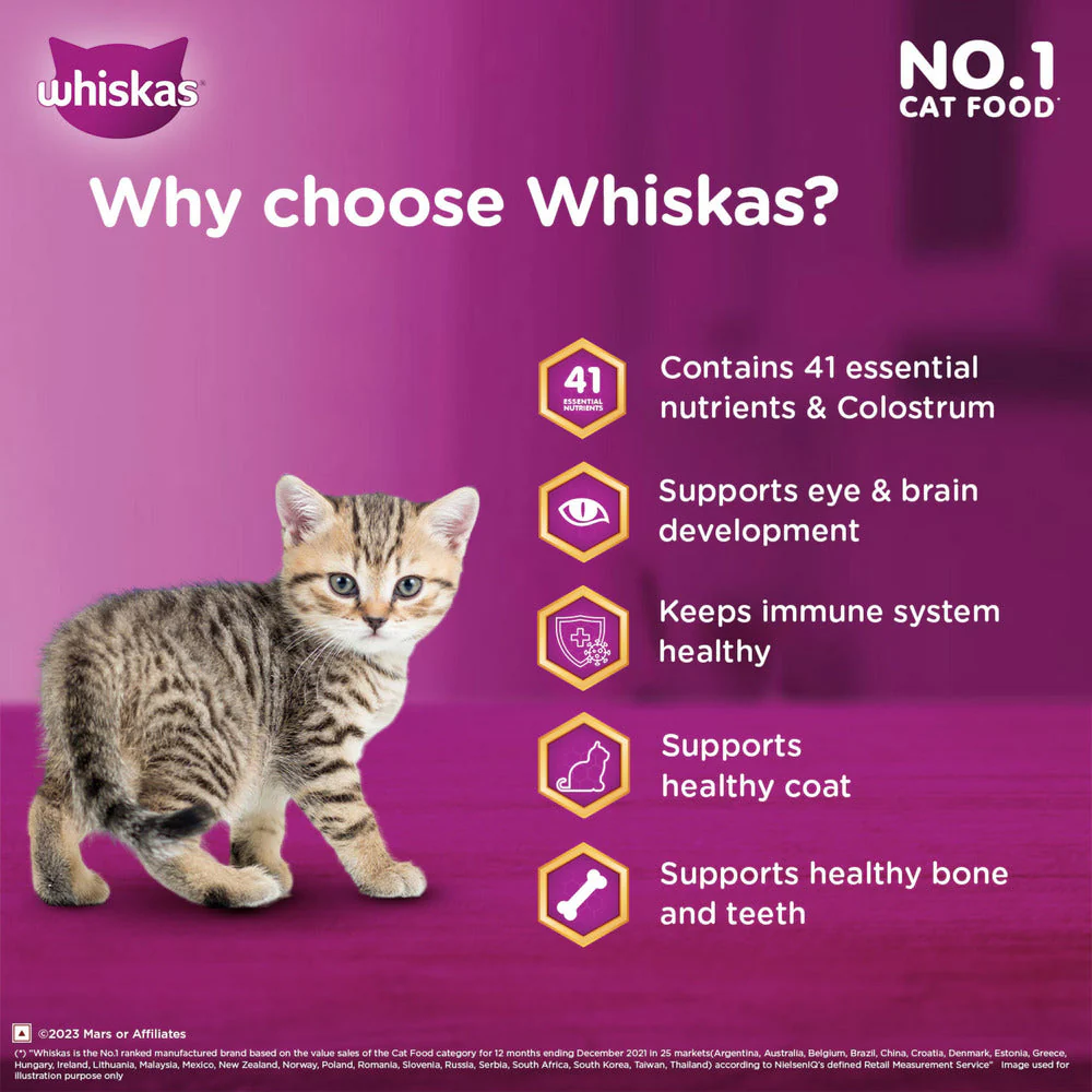Whiskas Ocean Fish Kitten/Mother and Baby Cat Dry Food - Image 6