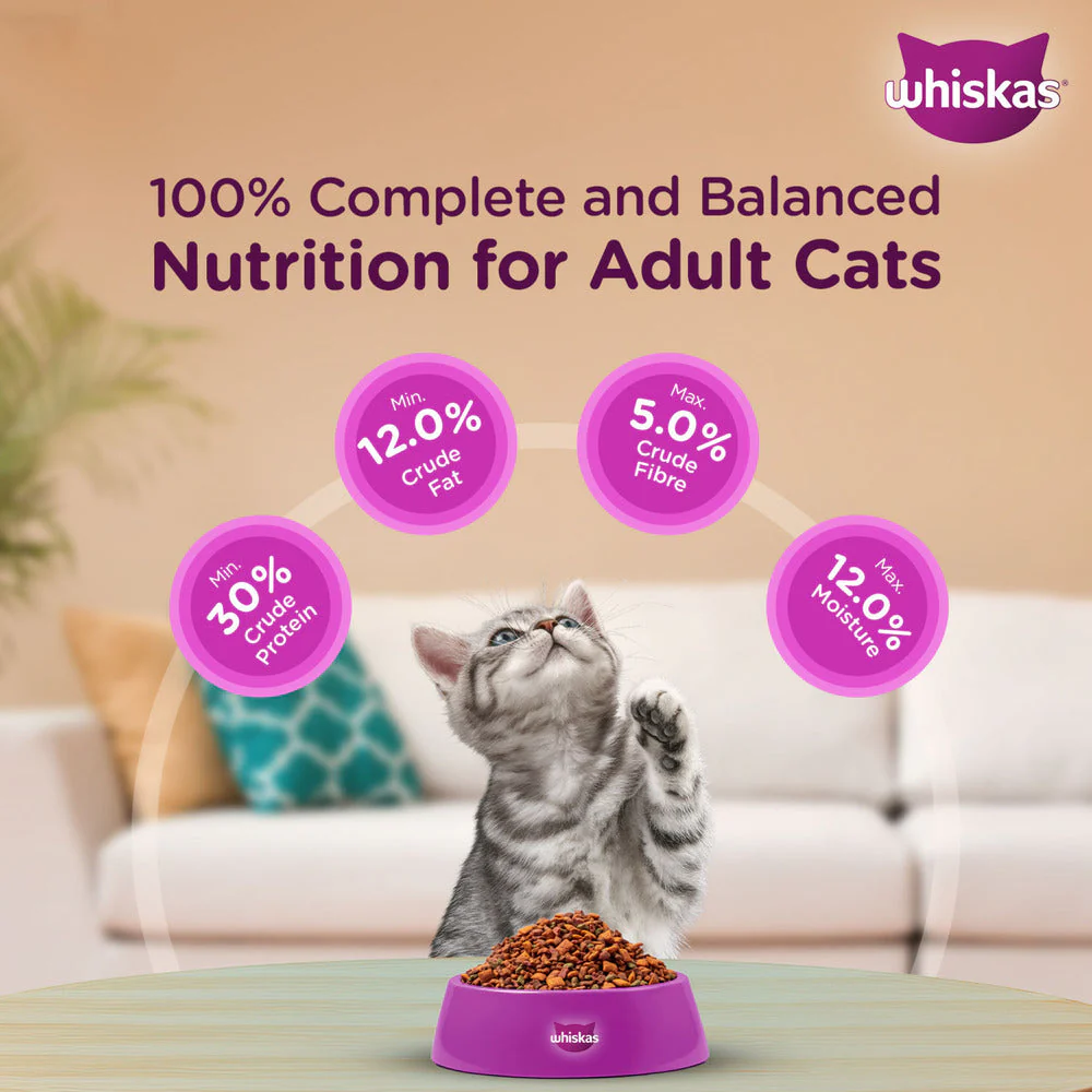 Whiskas Ocean Fish Kitten/Mother and Baby Cat Dry Food - Image 7