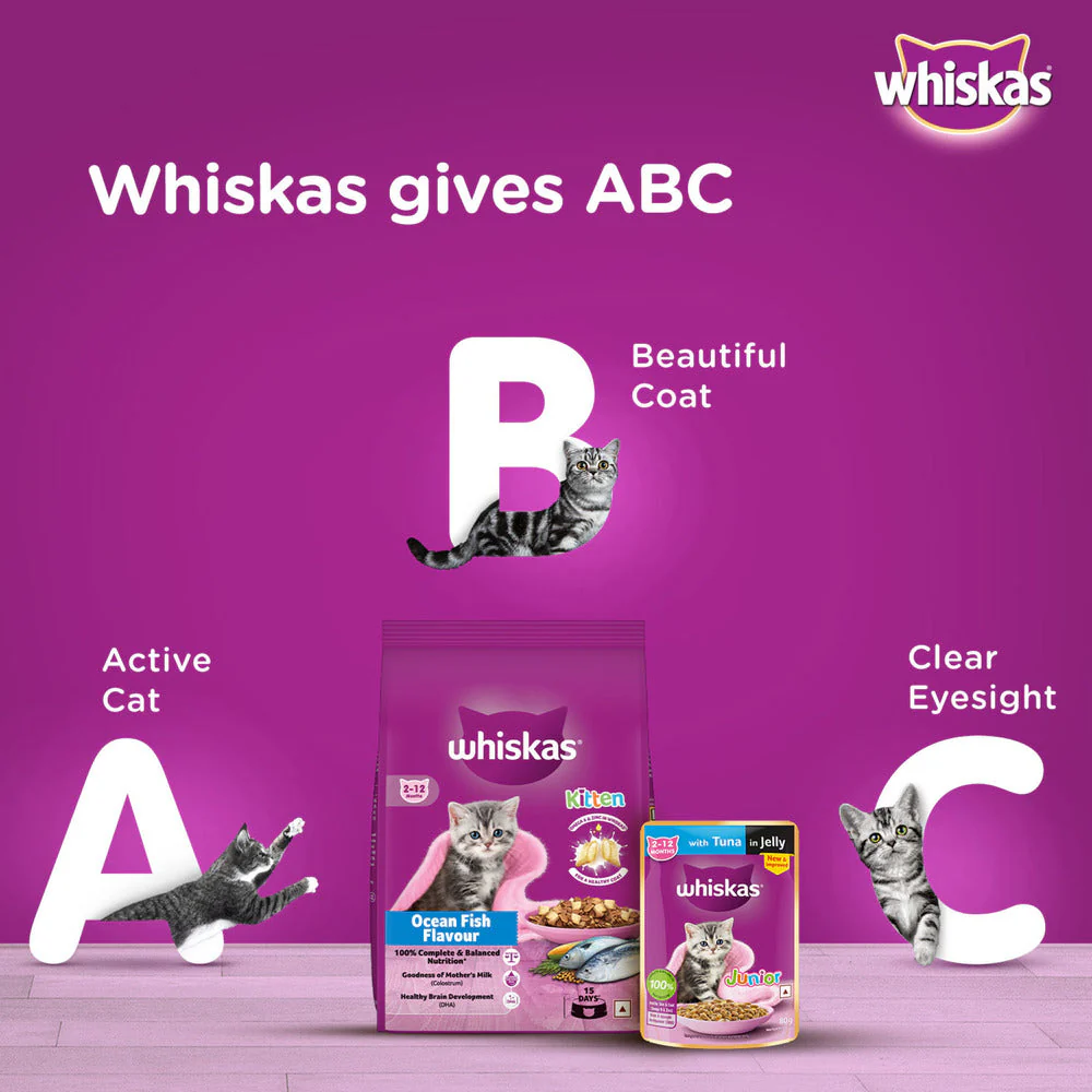 Whiskas Ocean Fish Kitten/Mother and Baby Cat Dry Food - Image 8