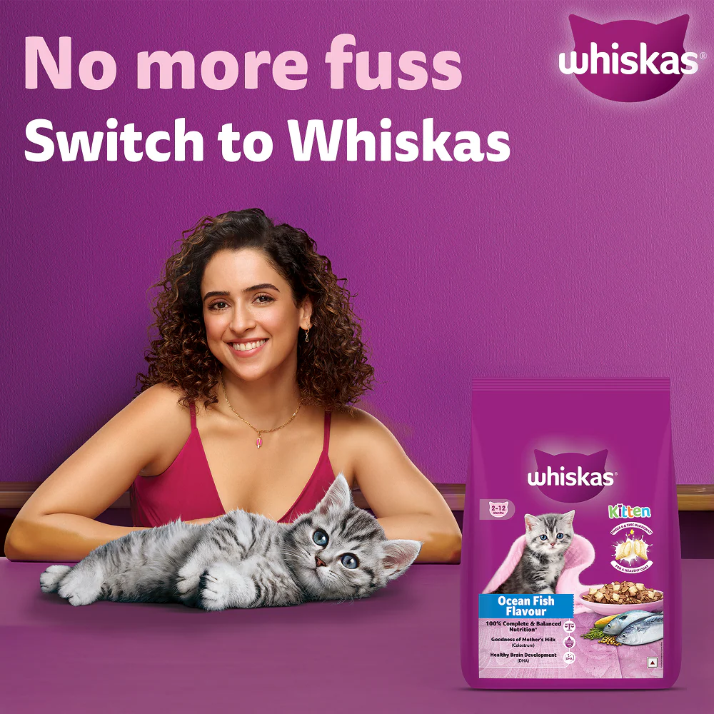 Whiskas Ocean Fish Kitten Cat Dry Food - Image 2