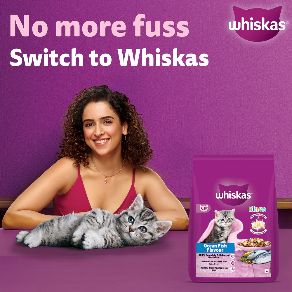 Whiskas Ocean Fish Kitten Cat Dry Food - Image 2