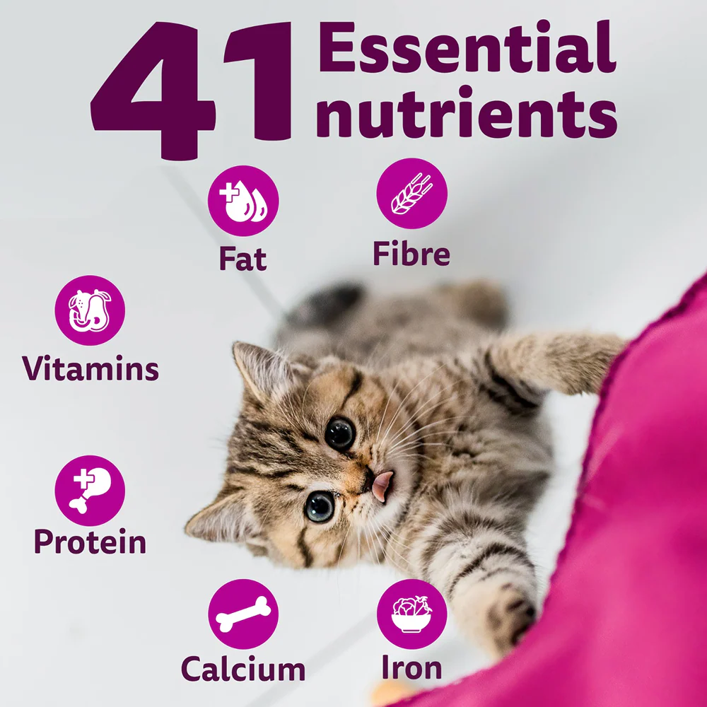 Whiskas Ocean Fish Kitten Cat Dry Food - Image 5