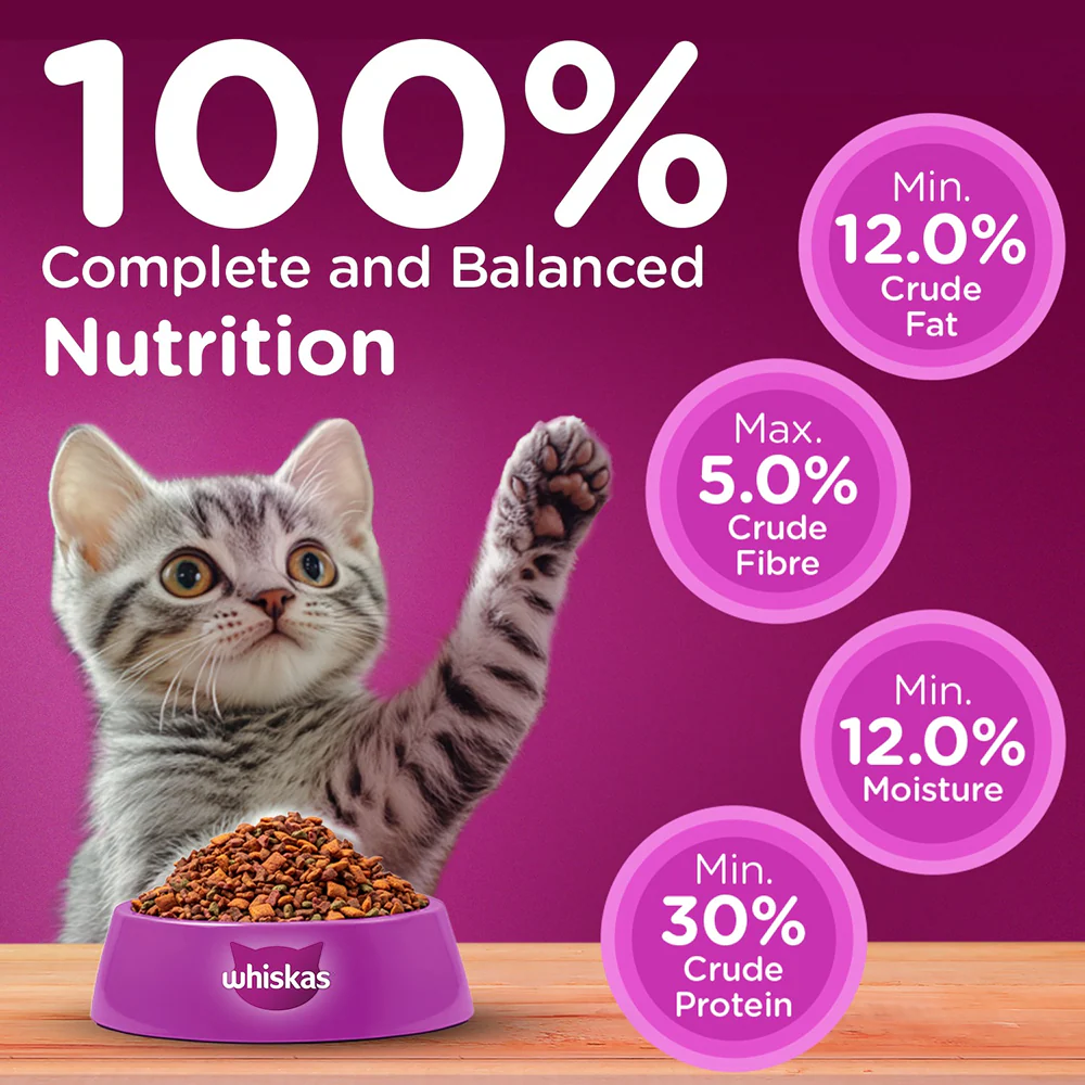 Whiskas Ocean Fish Kitten Cat Dry Food - Image 8