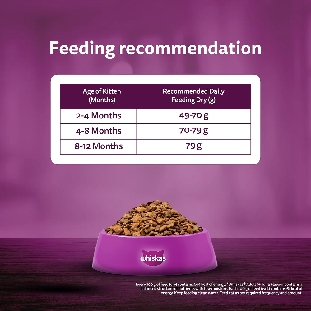 Whiskas Ocean Fish Kitten/Mother and Baby Cat Dry Food - Image 12