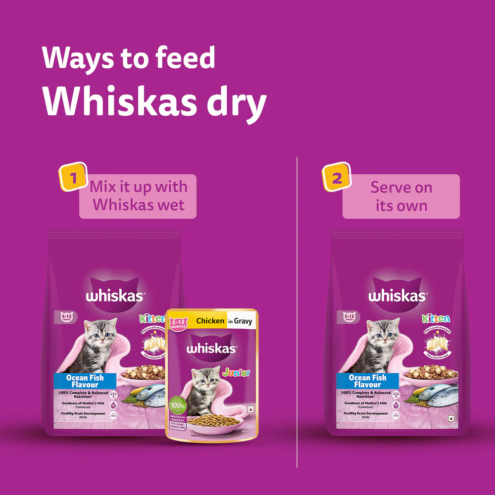 Whiskas Ocean Fish Kitten/Mother and Baby Cat Dry Food - Image 14