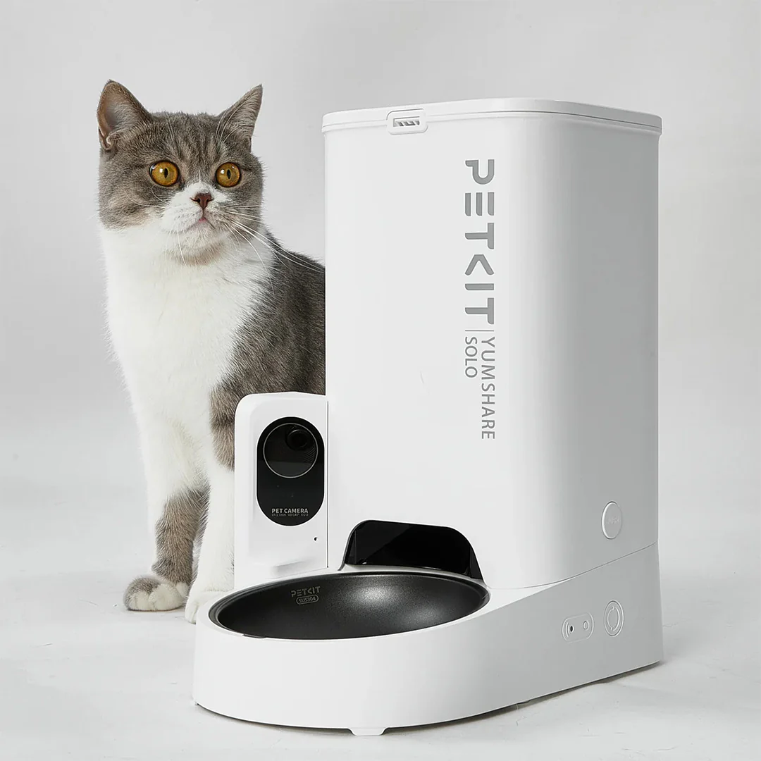 Whiskas Ocean Fish Kitten/Mother and Baby Dry Food & Petkit YumShare Solo Automatic Food Dispenser Combo for Kitten - Image 22