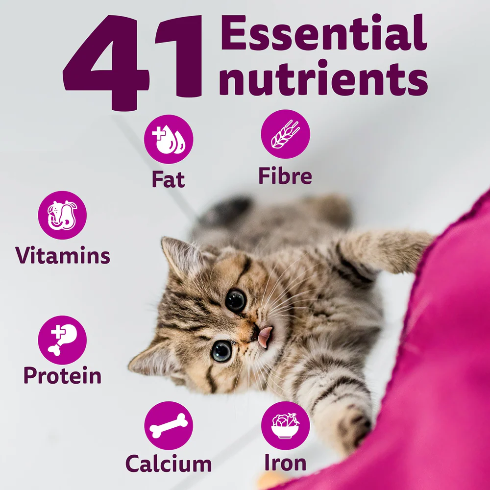 Whiskas Ocean Fish Kitten/Mother and Baby Cat Dry Food - Image 5