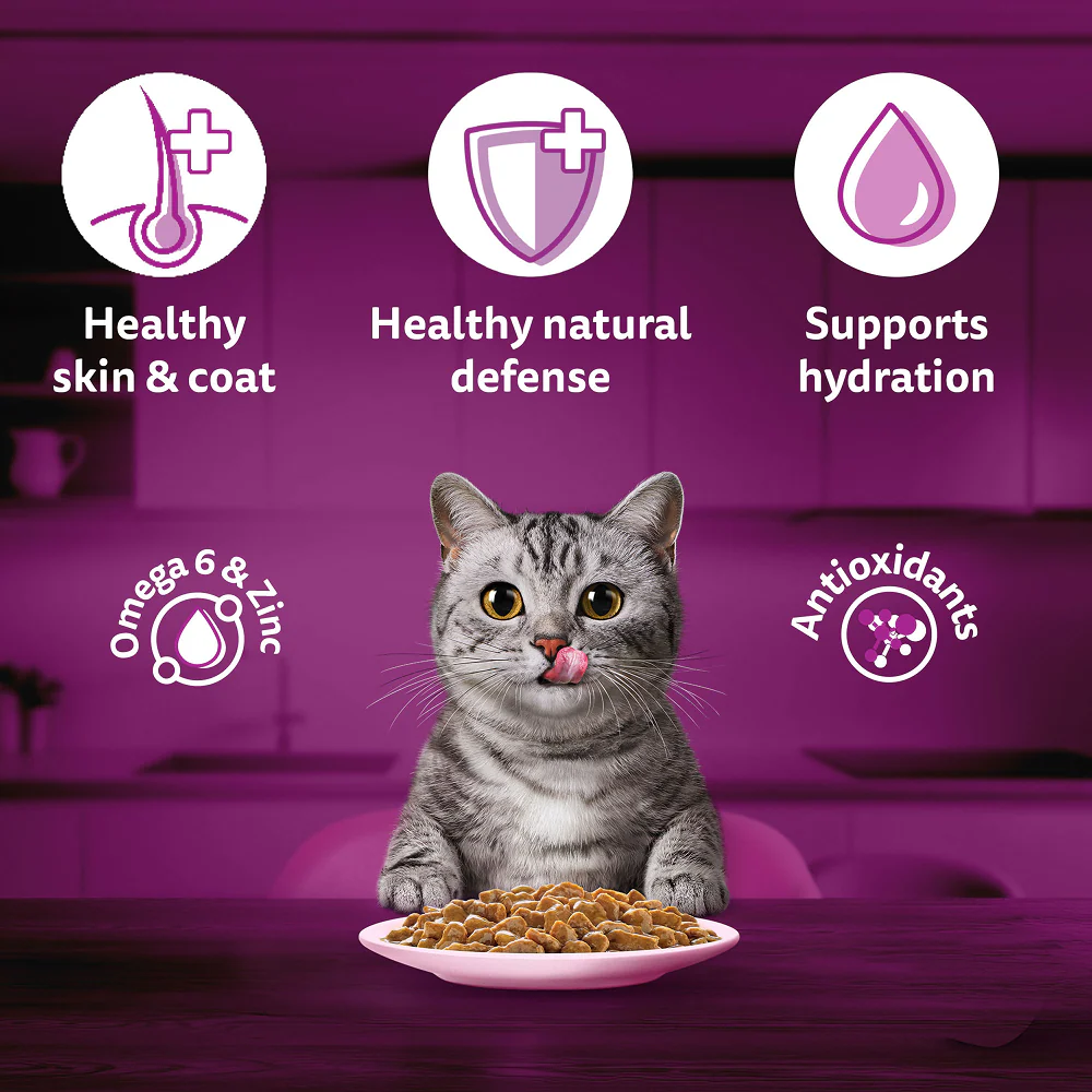 Whiskas Salmon in Gravy Meal Adult Cat Wet Food - Image 3