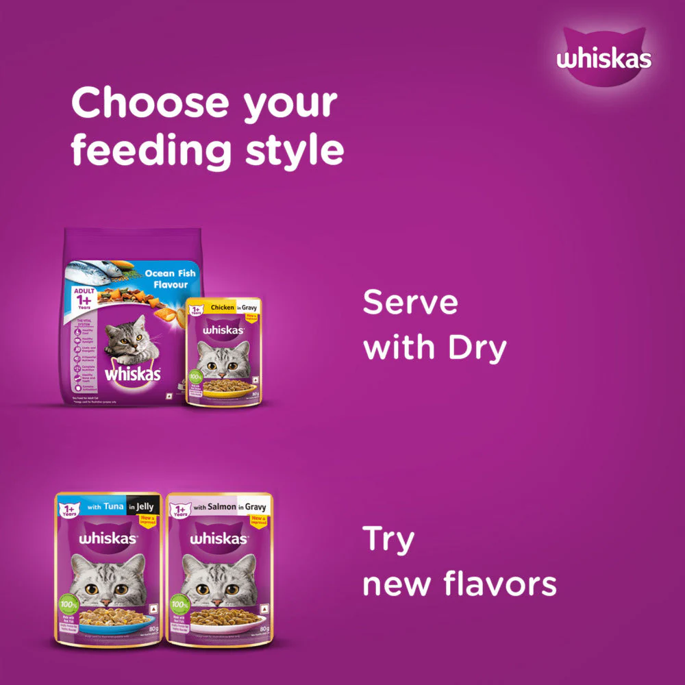 Whiskas Salmon in Gravy Meal and Chicken Gravy Adult Cat Wet Food Combo - Image 11