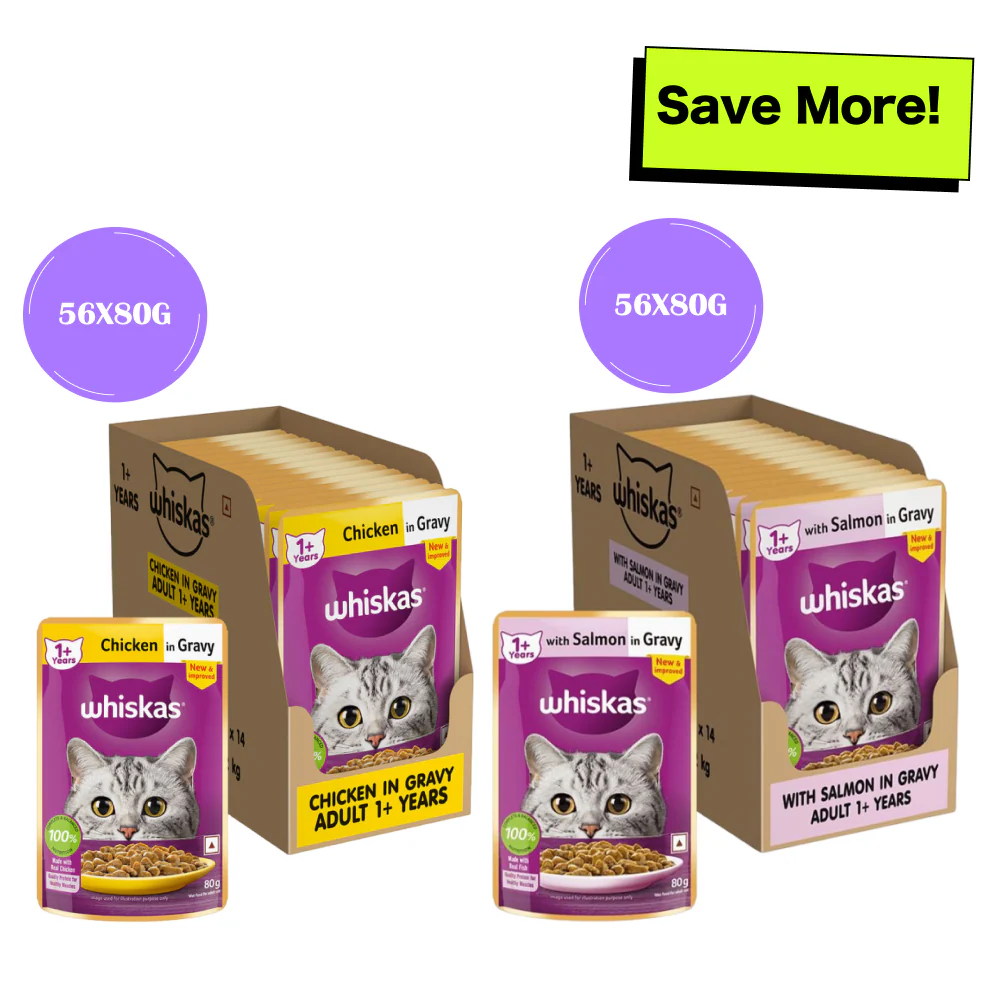 Whiskas Salmon in Gravy Meal and Chicken Gravy Adult Cat Wet Food Combo - Image 12