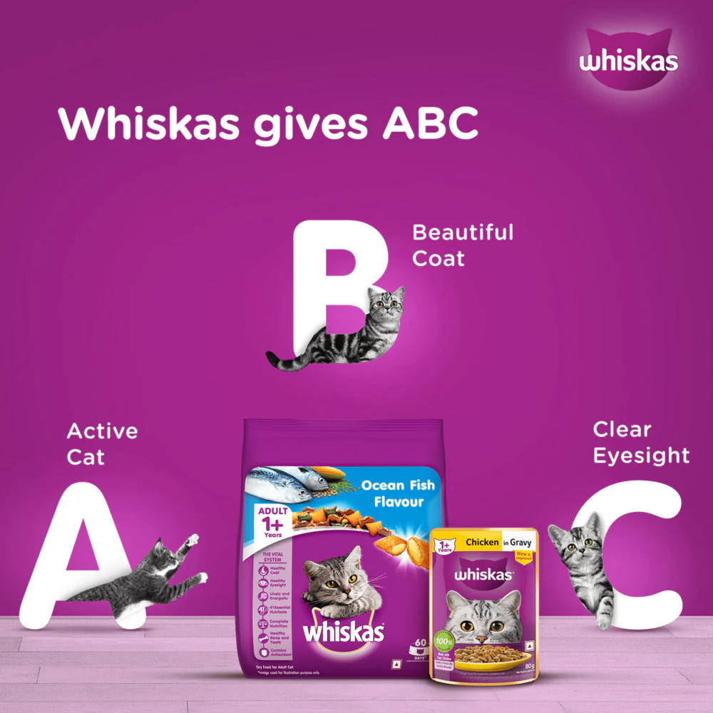 Whiskas Salmon in Gravy Meal and Chicken Gravy Adult Cat Wet Food Combo - Image 8