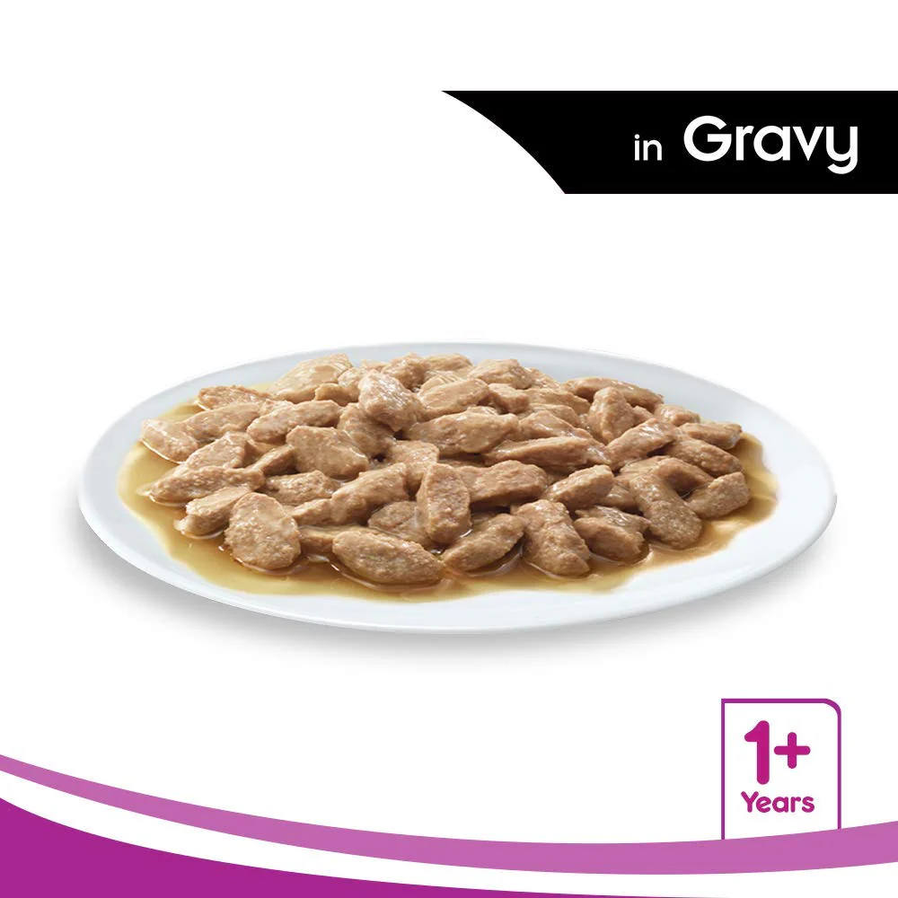 Whiskas Salmon in Gravy Meal and Tuna in Jelly Meal Adult Cat Wet Food Combo - Image 6