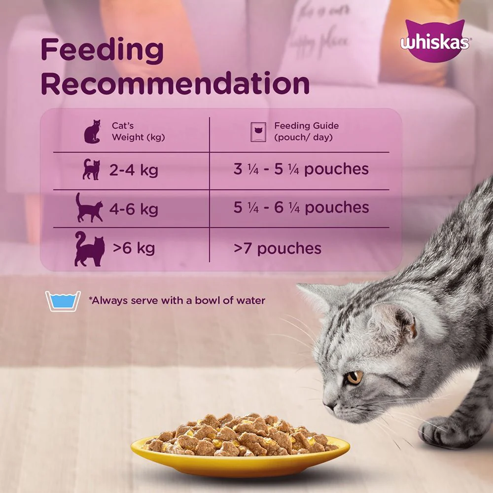 Whiskas Salmon in Gravy Meal and Ocean Fish Adult Cat Wet Food Combo - Image 6