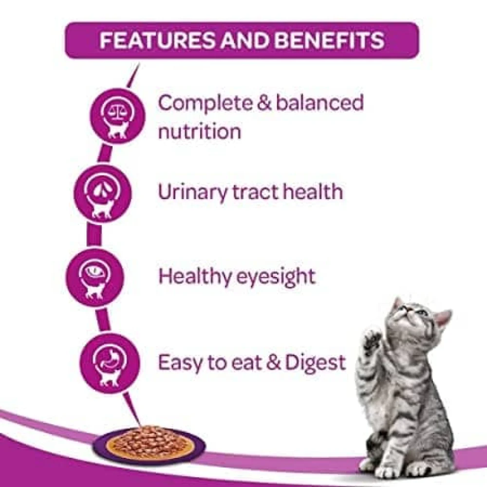 Whiskas Salmon in Gravy Meal and Ocean Fish Adult Cat Wet Food Combo - Image 8