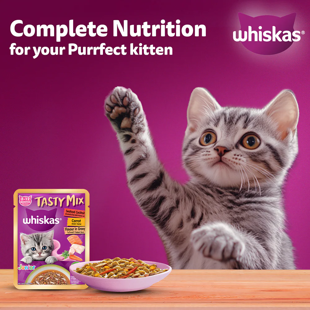 Whiskas Tasty Mix Seafood Cocktail Carrot Gravy Kitten Cat Wet Food - Image 10