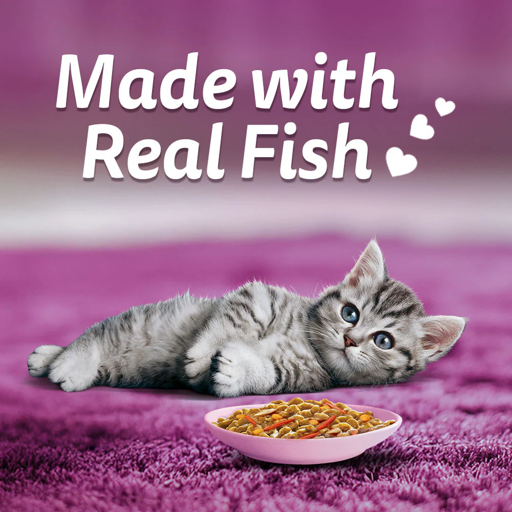 Whiskas Tasty Mix Seafood Cocktail Carrot Gravy Kitten Cat Wet Food - Image 12