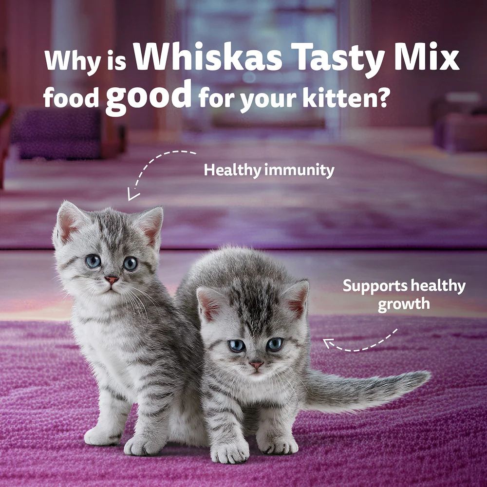 Whiskas Tasty Mix Seafood Cocktail Carrot Gravy Kitten Cat Wet Food - Image 14