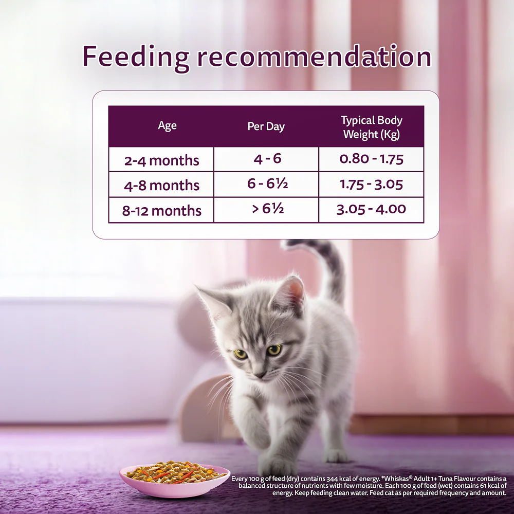 Whiskas Tasty Mix Seafood Cocktail Carrot Gravy Kitten Cat Wet Food - Image 7