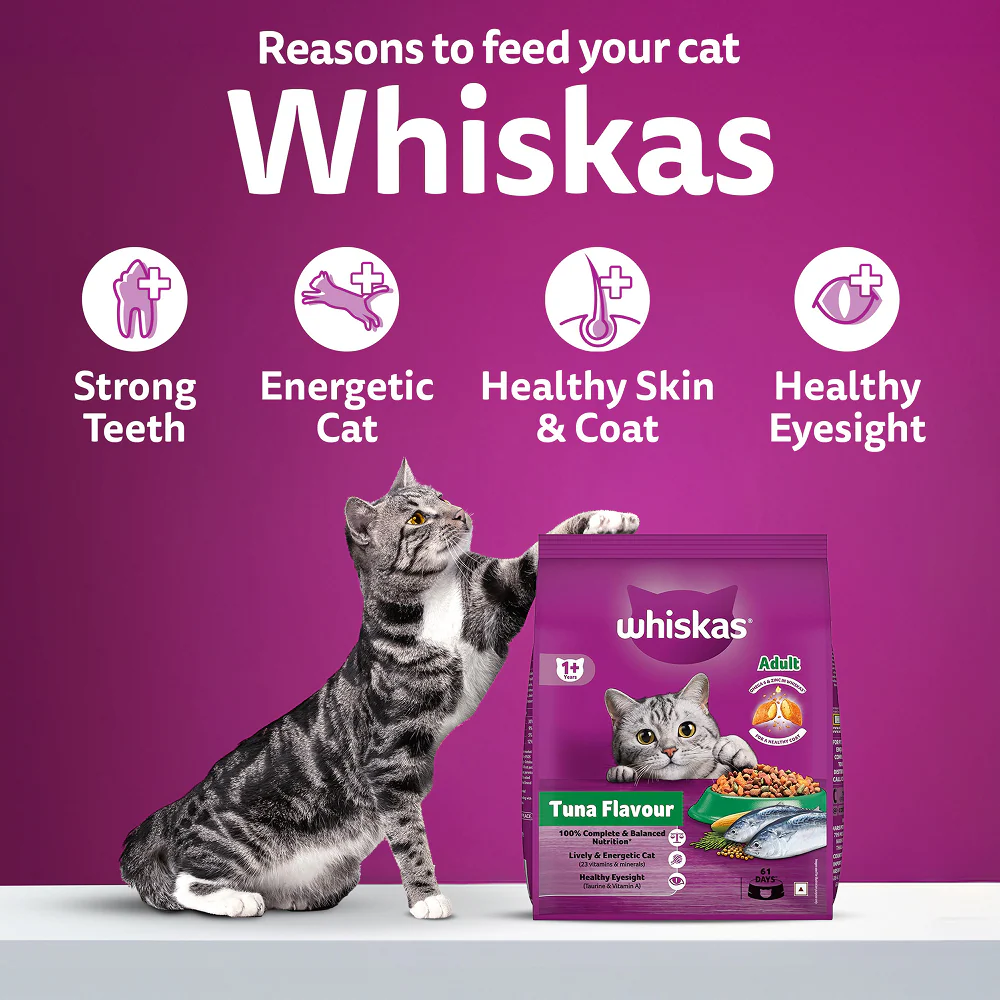 Whiskas Tuna Flavour Adult Cat Dry Food - Image 10