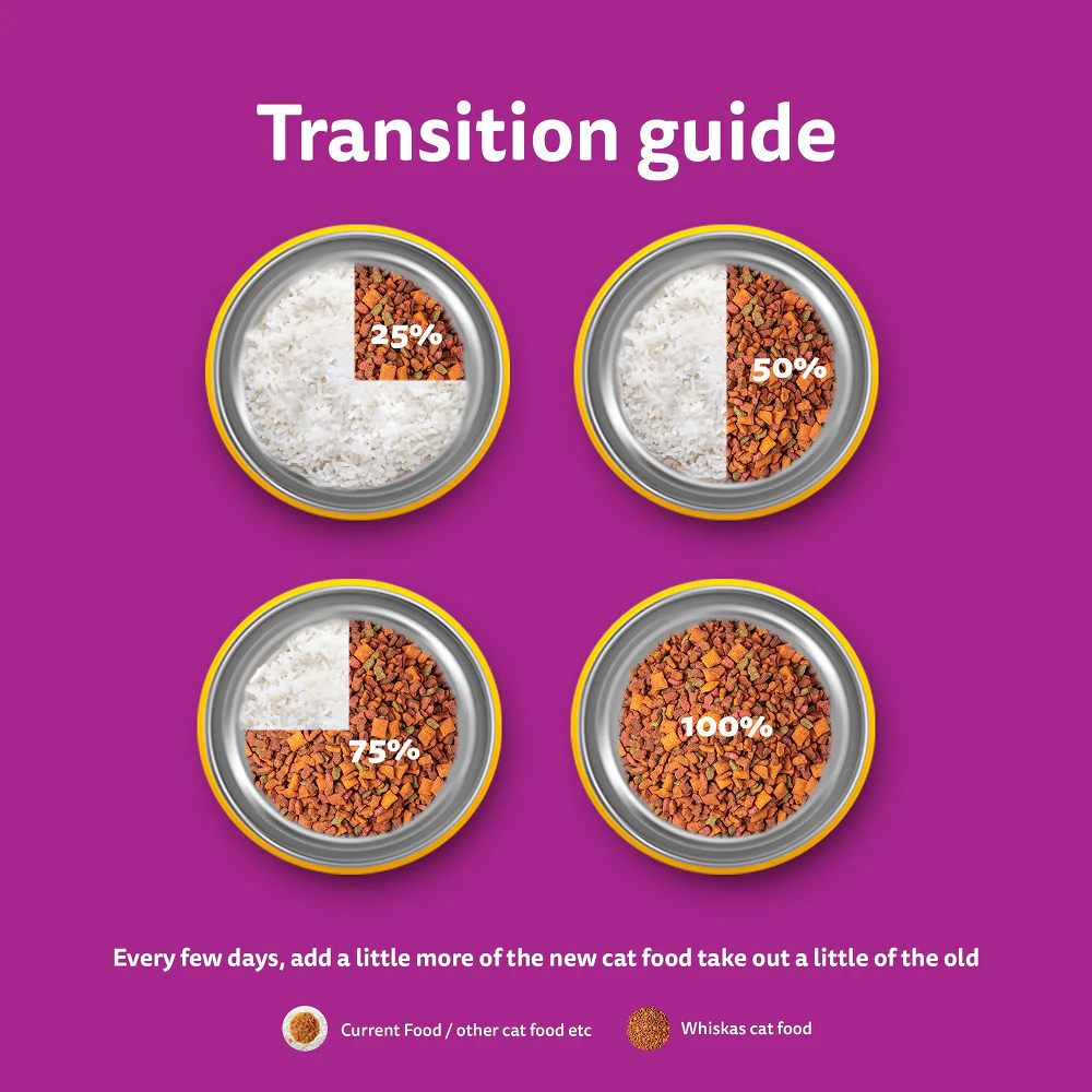 Whiskas Tuna Flavour Adult Cat Dry Food - Image 11