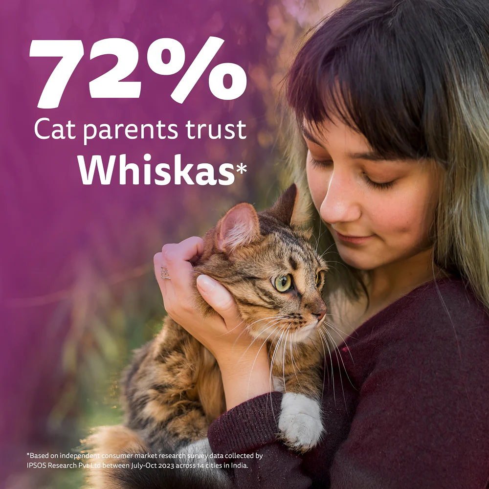 Whiskas Tuna Flavour Adult Cat Dry Food - Image 12