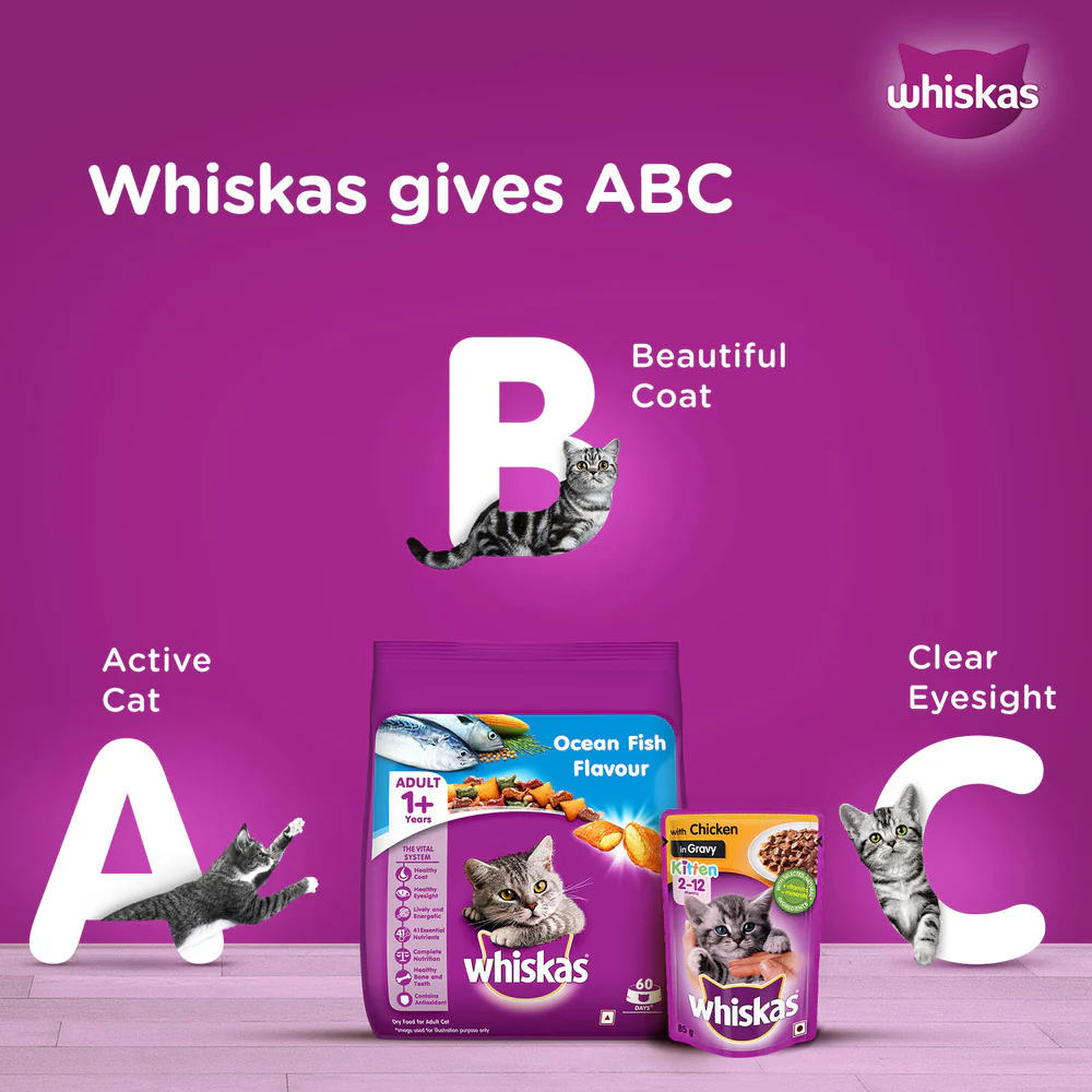 Whiskas Tuna in Jelly and Chicken in Gravy Meal Kitten Cat Wet Food Combo - Image 10