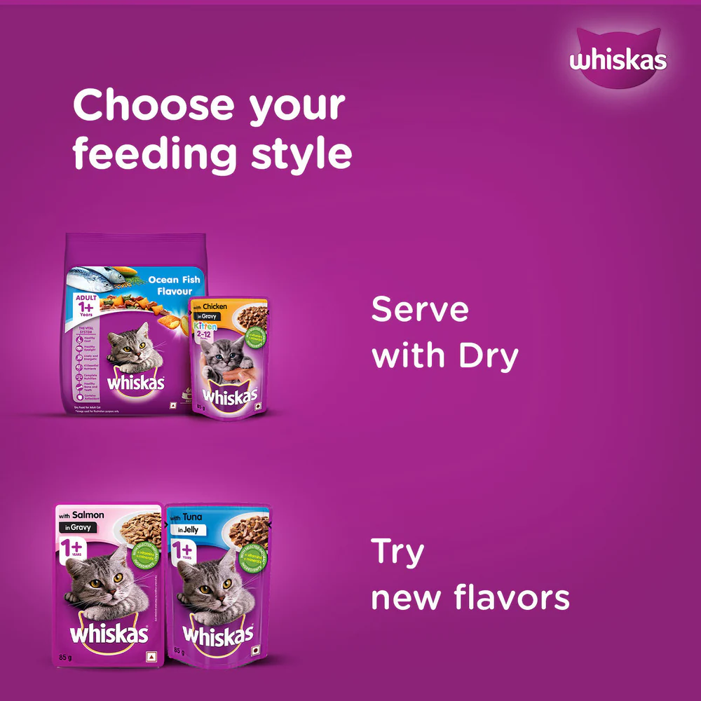 Whiskas Tuna in Jelly and Chicken in Gravy Meal Kitten Cat Wet Food Combo - Image 11