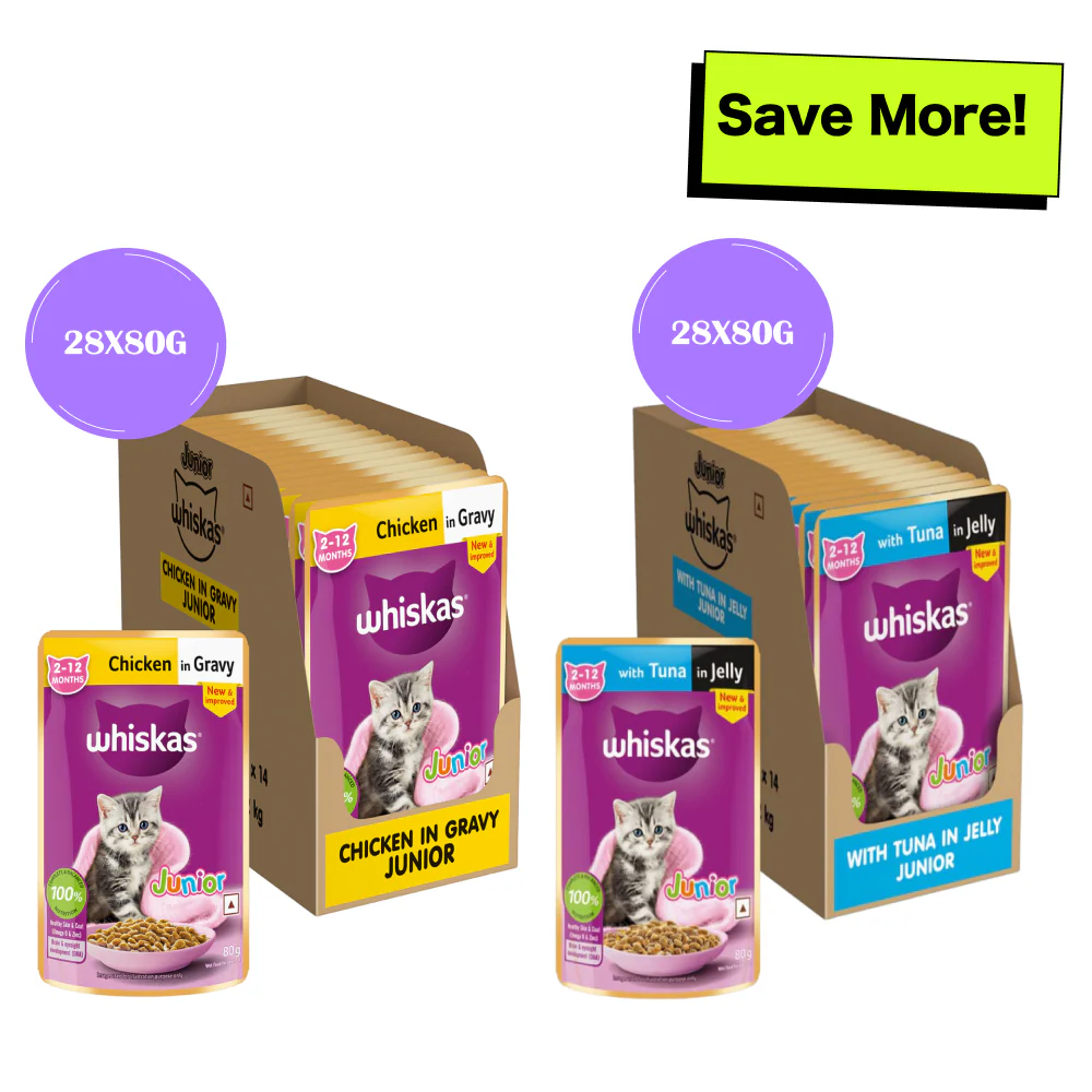 Whiskas Tuna in Jelly and Chicken in Gravy Meal Kitten Cat Wet Food Combo - Image 14