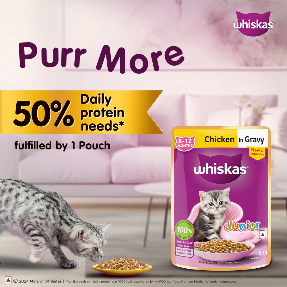Whiskas Tuna in Jelly and Chicken in Gravy Meal Kitten Cat Wet Food Combo - Image 2