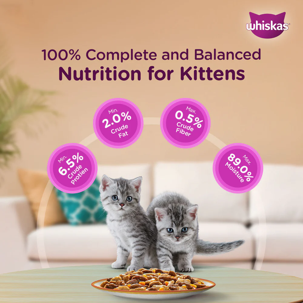 Whiskas Tuna in Jelly and Chicken in Gravy Meal Kitten Cat Wet Food Combo - Image 6