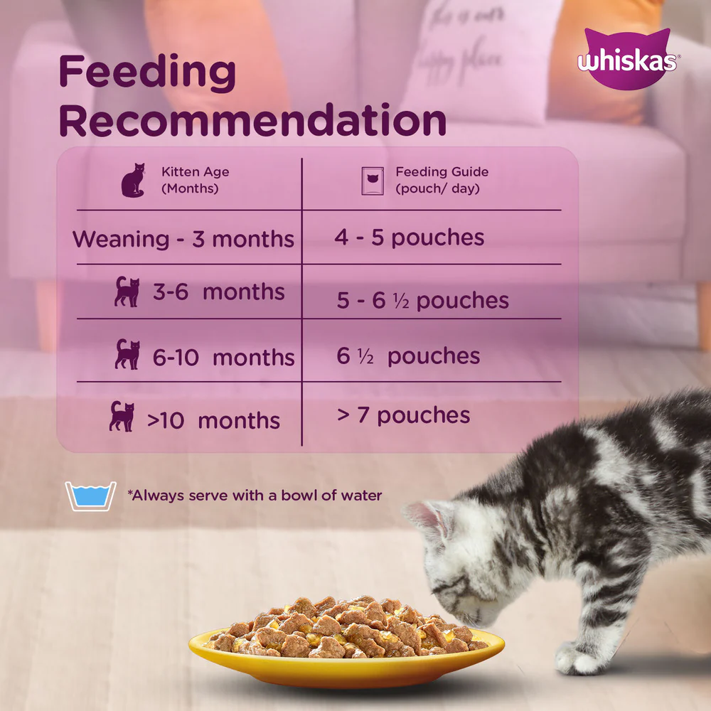 Whiskas Tuna in Jelly Kitten (2-12 Months) Cat Wet Food - Image 4