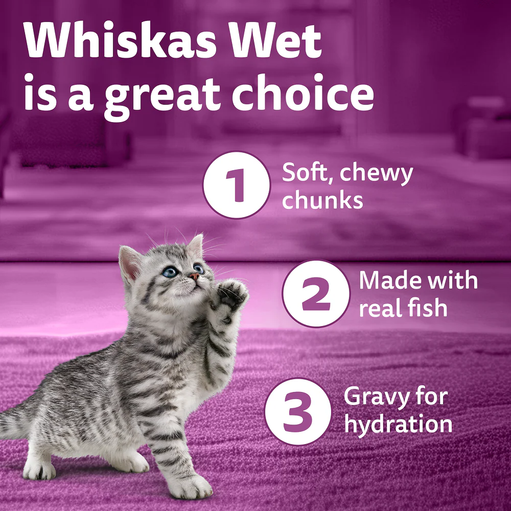 Whiskas Tuna in Jelly Kitten Cat Wet Food (80g) - Image 3