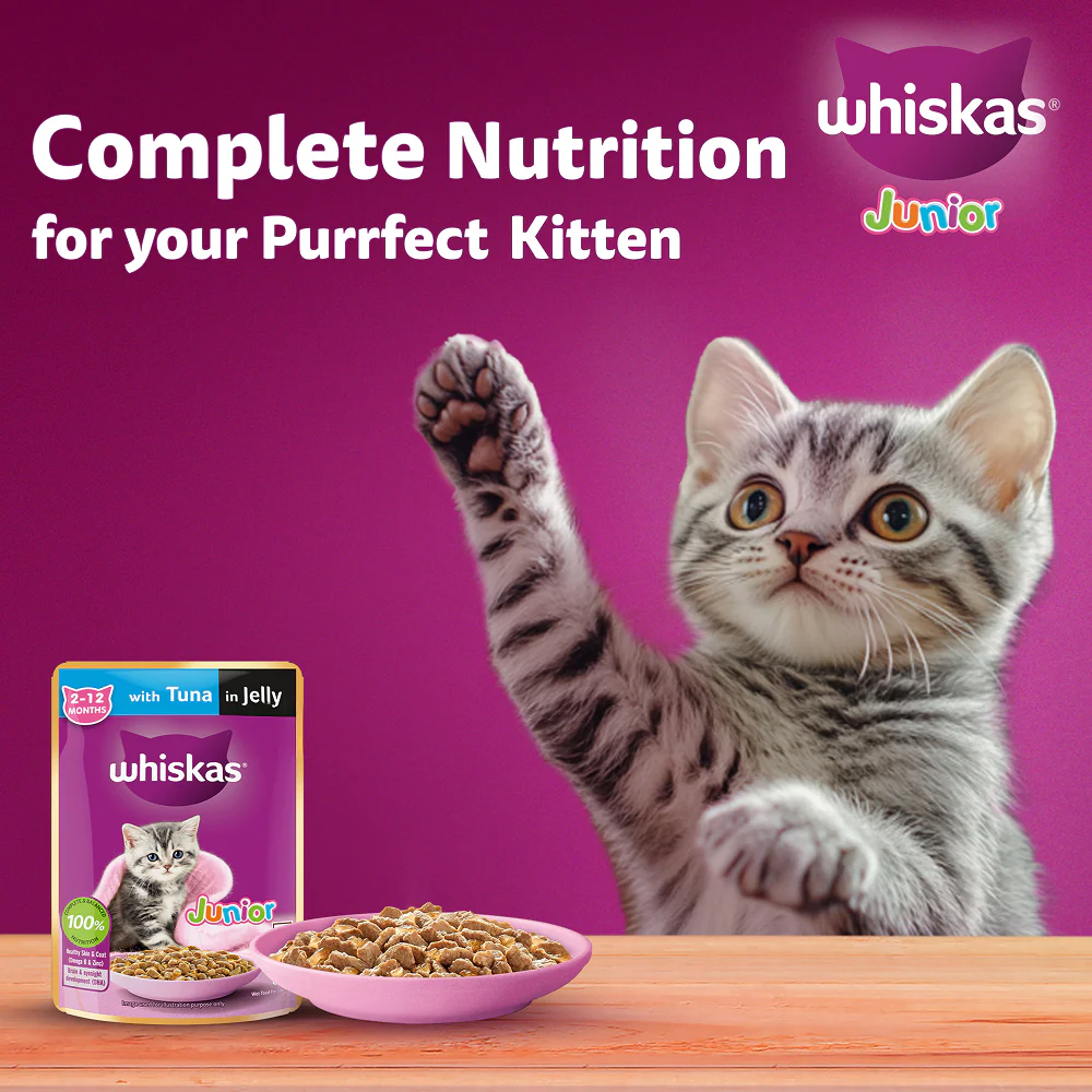 Whiskas Tuna in Jelly Kitten Cat Wet Food (80g) - Image 7