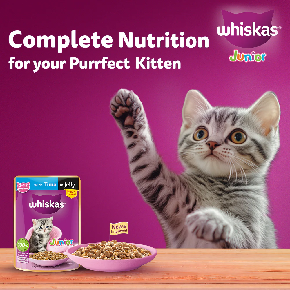 Whiskas Tuna in Jelly Kitten Cat Wet Food (80g) - Image 10
