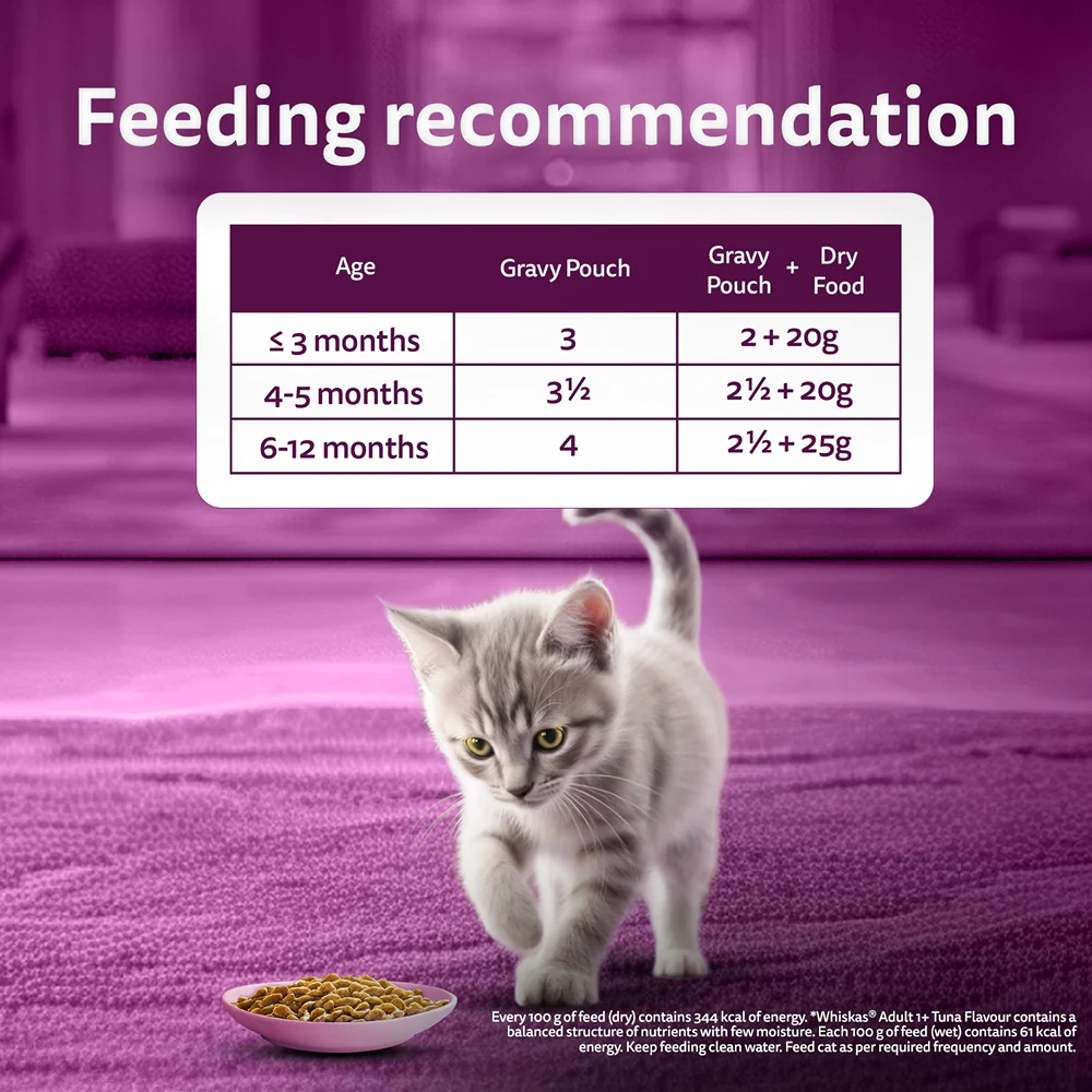 Whiskas Tuna in Jelly Kitten Cat Wet Food (80g) - Image 15