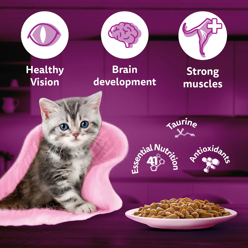 Whiskas Tuna in Jelly Kitten Cat Wet Food (80g) - Image 4