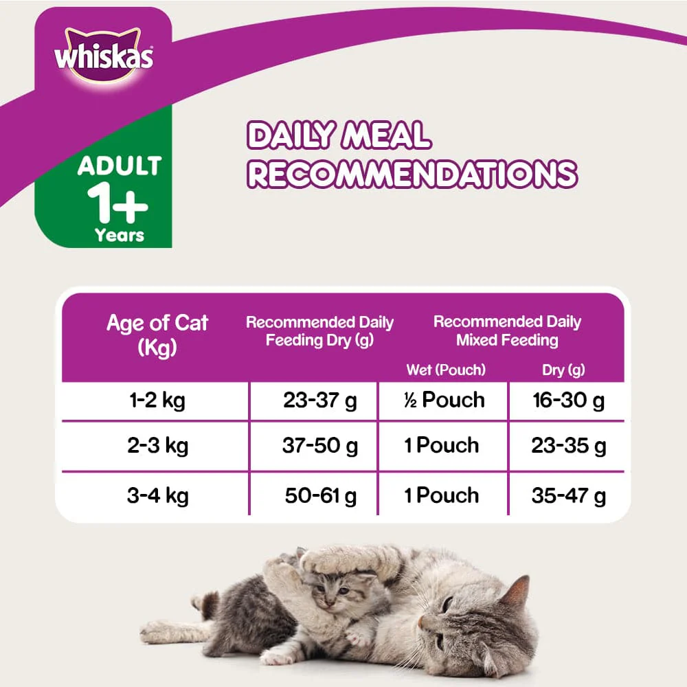 Whiskas Tuna in Jelly Meal Adult Cat Wet Food and Tuna Flavour Adult Cat Dry Food Combo - Image 5