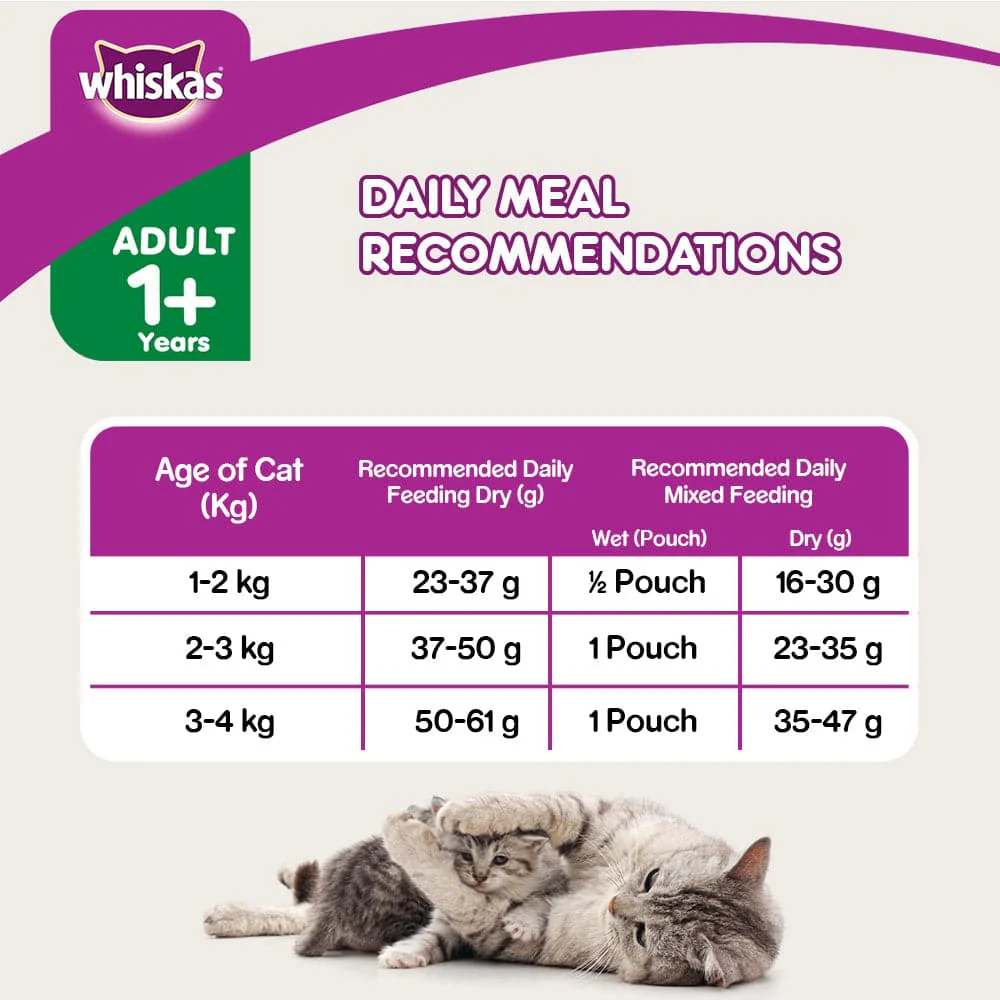Whiskas Tuna in Jelly Meal Adult Cat Wet Food and Tuna Flavour Adult Cat Dry Food Combo - Image 3