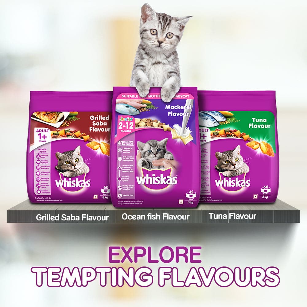Whiskas Tuna in Jelly Meal Adult Cat Wet Food and Tuna Flavour Adult Cat Dry Food Combo - Image 4