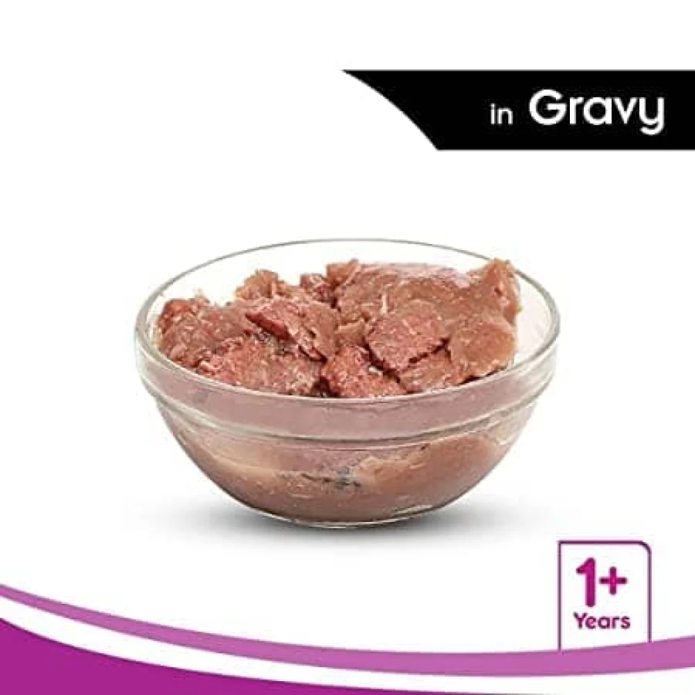 Whiskas Tuna in Jelly Meal and Ocean Fish Adult Cat Wet Food Combo - Image 14