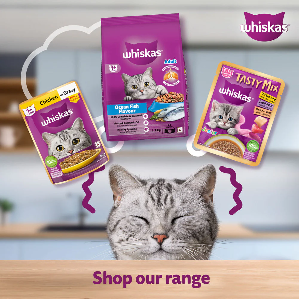 Whiskas Tuna in Jelly Meal Adult Cat Wet Food - Image 11